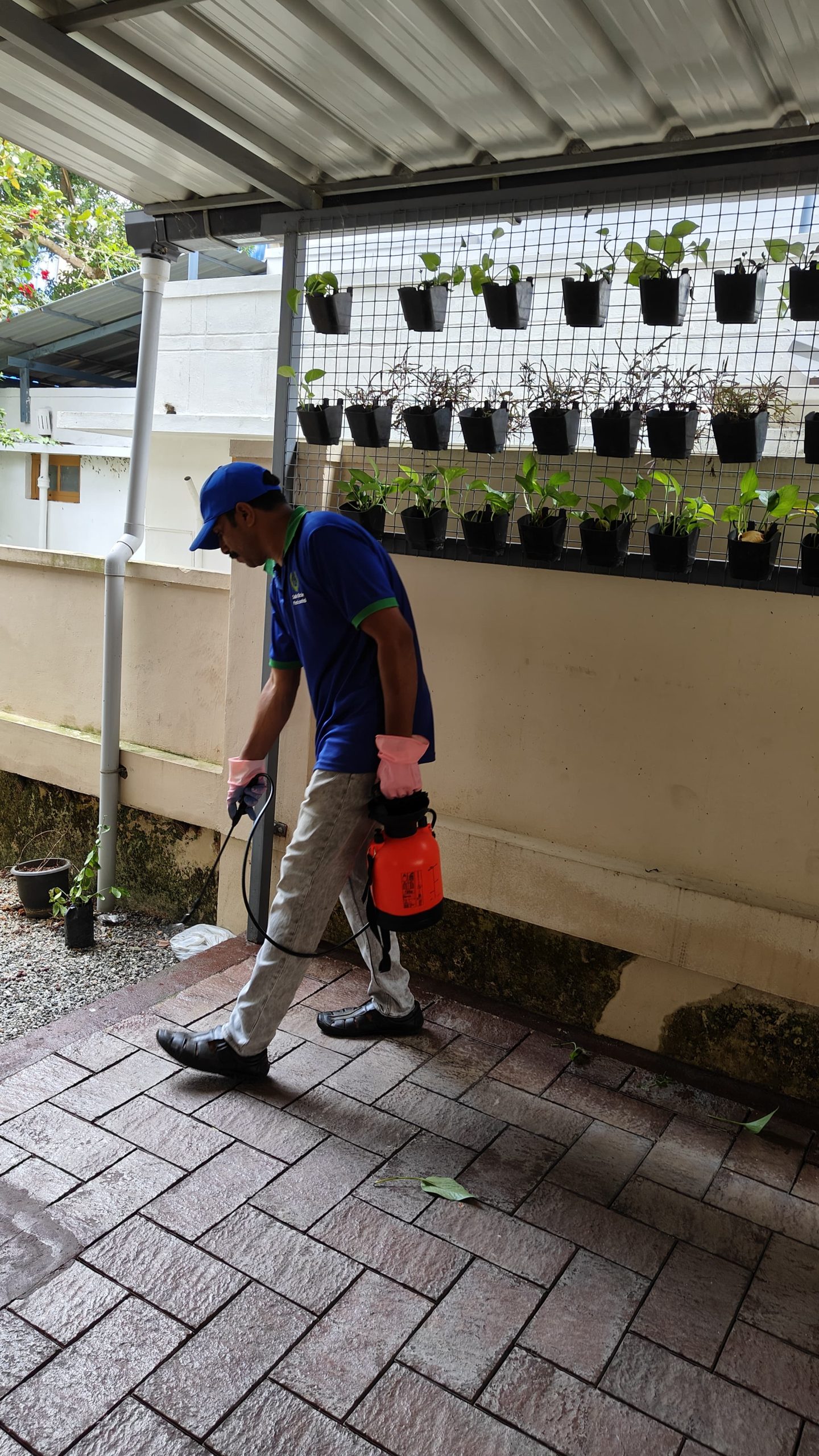 pest control service