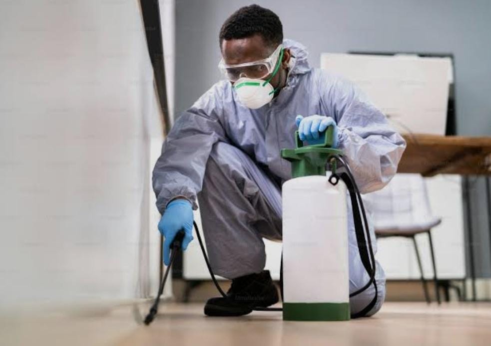 The Importance of Pest Control Services in Ernakulam