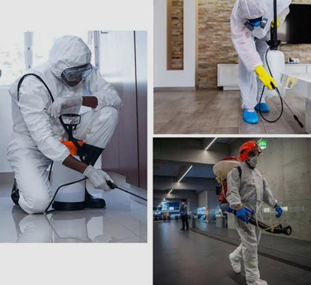 Pest Control Services in Kerala